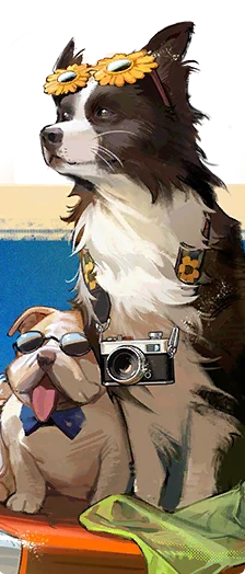 The Young Dog and The Sea